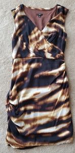 Ann Taylor Silk Dress Petite 6p